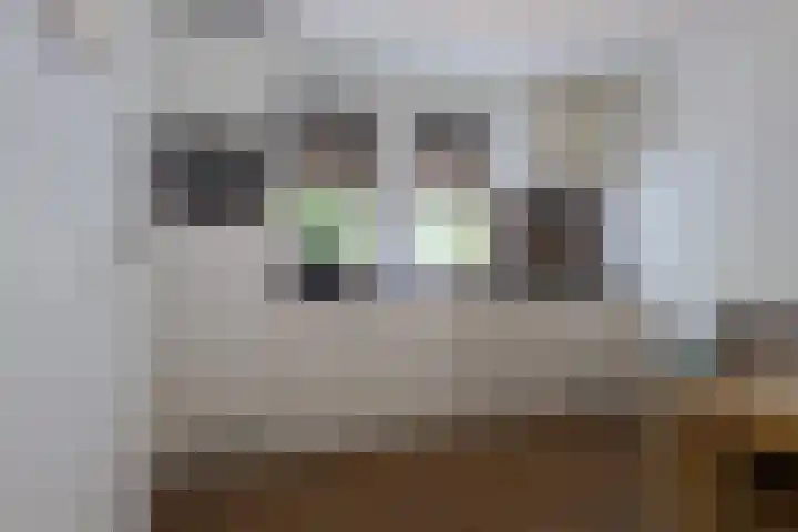 Buinerweg 8 127 Ees thumbnail 7