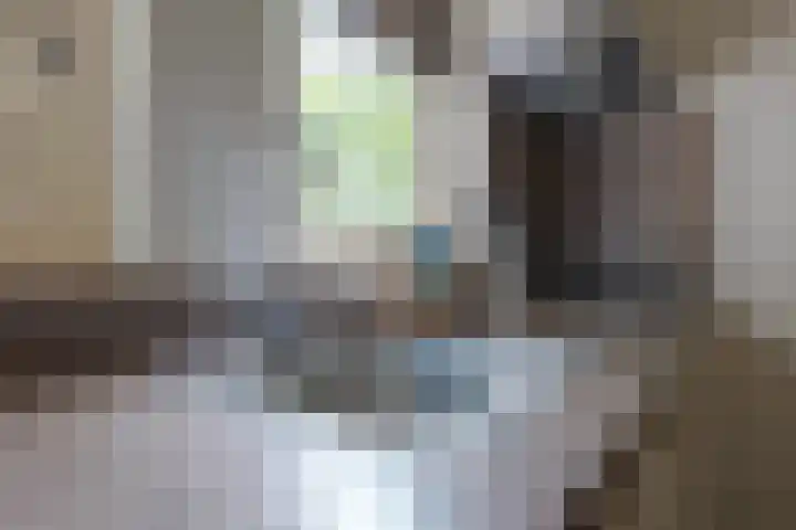 Buinerweg 8 127 Ees thumbnail 9
