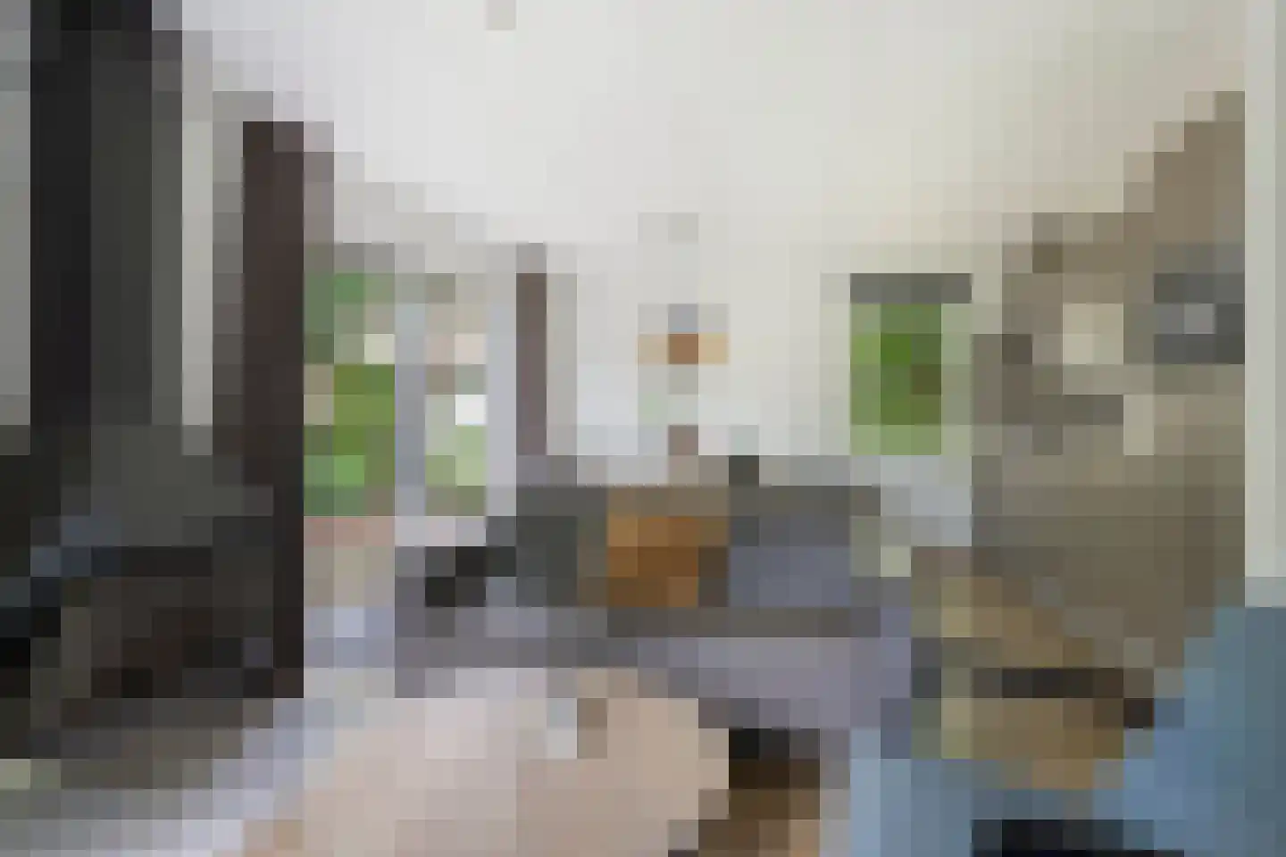 Buinerweg 8 130 Ees thumbnail 10