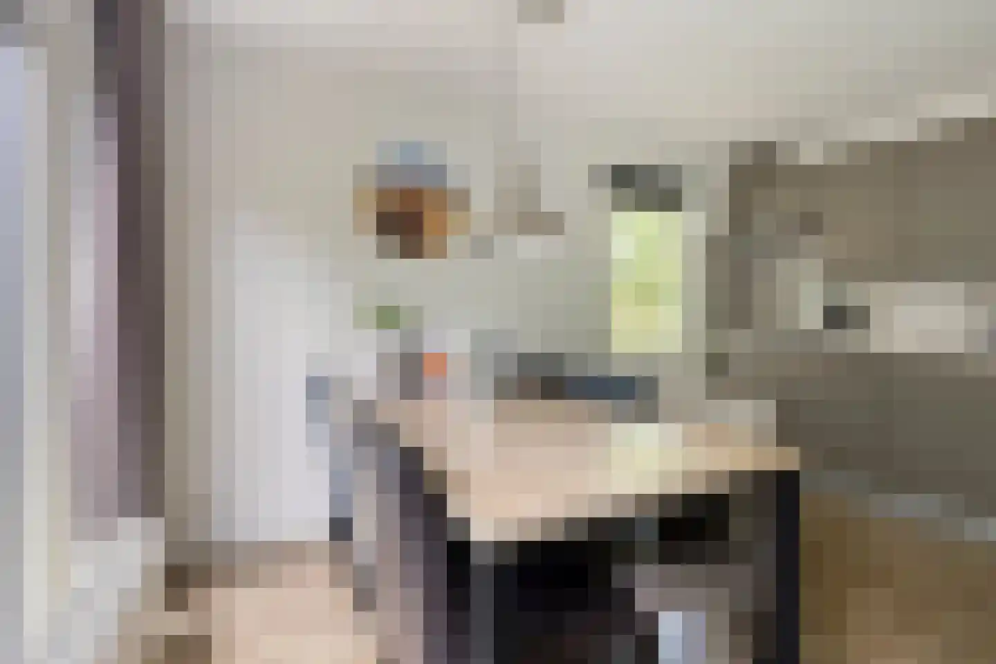 Buinerweg 8 130 Ees thumbnail 14