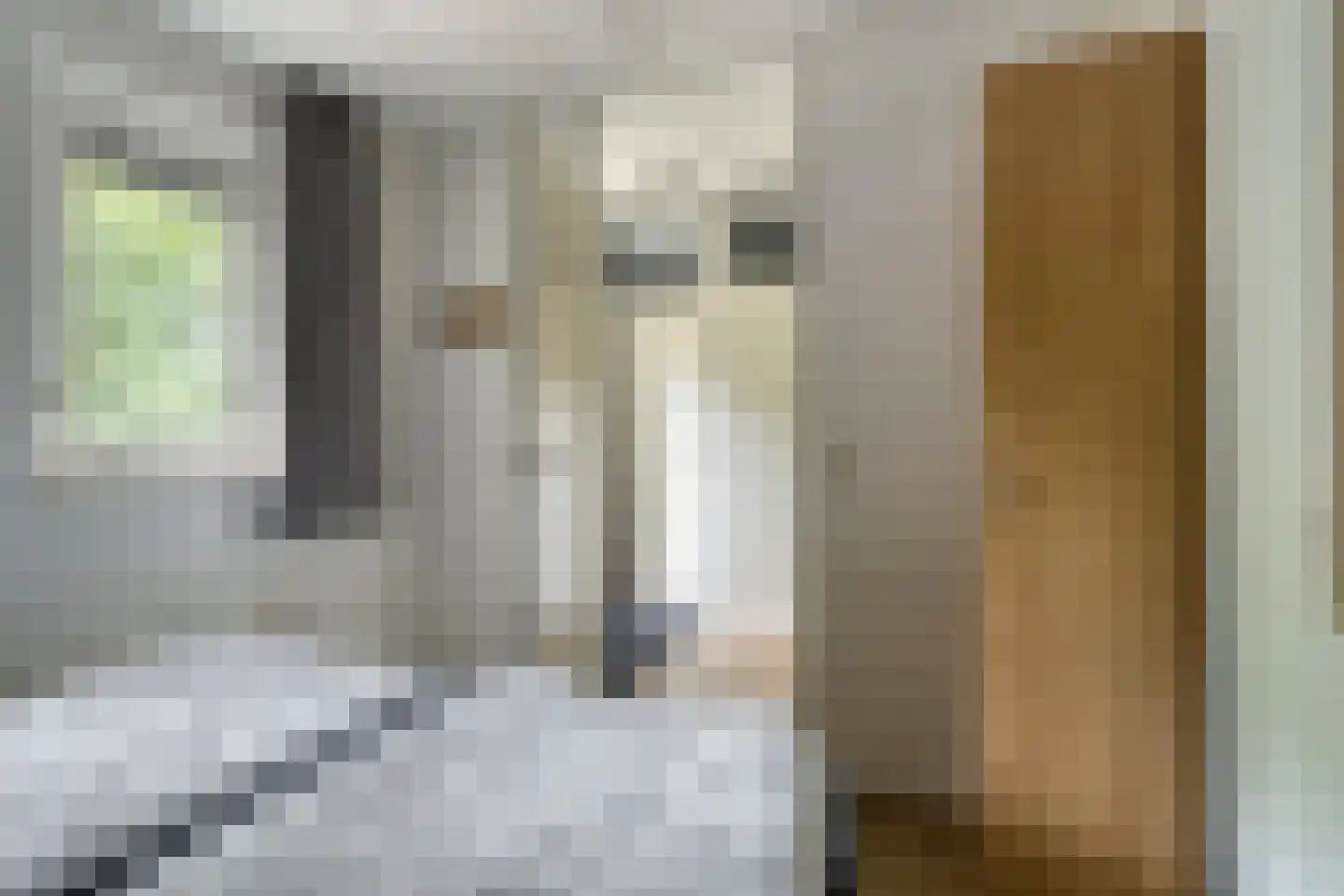 Buinerweg 8 130 Ees thumbnail 23