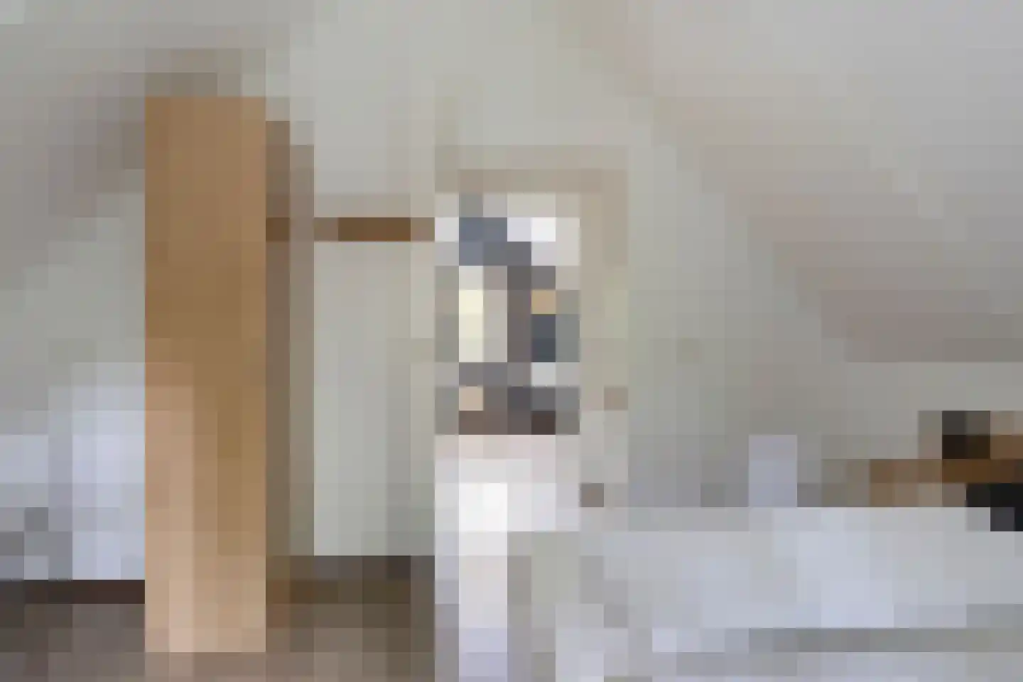 Buinerweg 8 130 Ees thumbnail 29