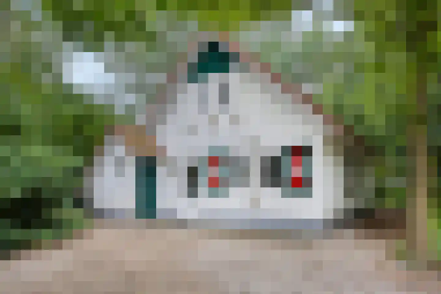 Buinerweg 8 130 Ees thumbnail 4