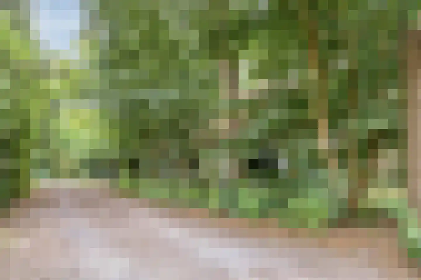 Buinerweg 8 130 Ees thumbnail 40
