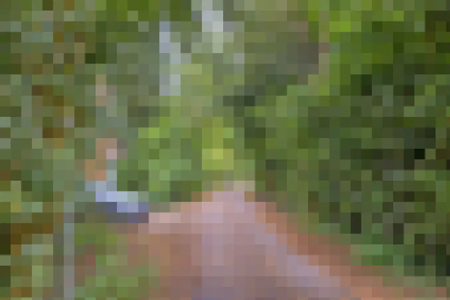 Buinerweg 8 130 Ees thumbnail 41