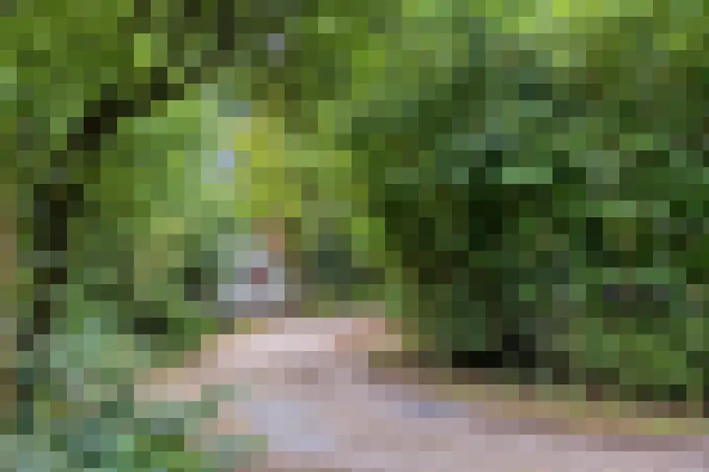 Buinerweg 8 130 Ees thumbnail 42