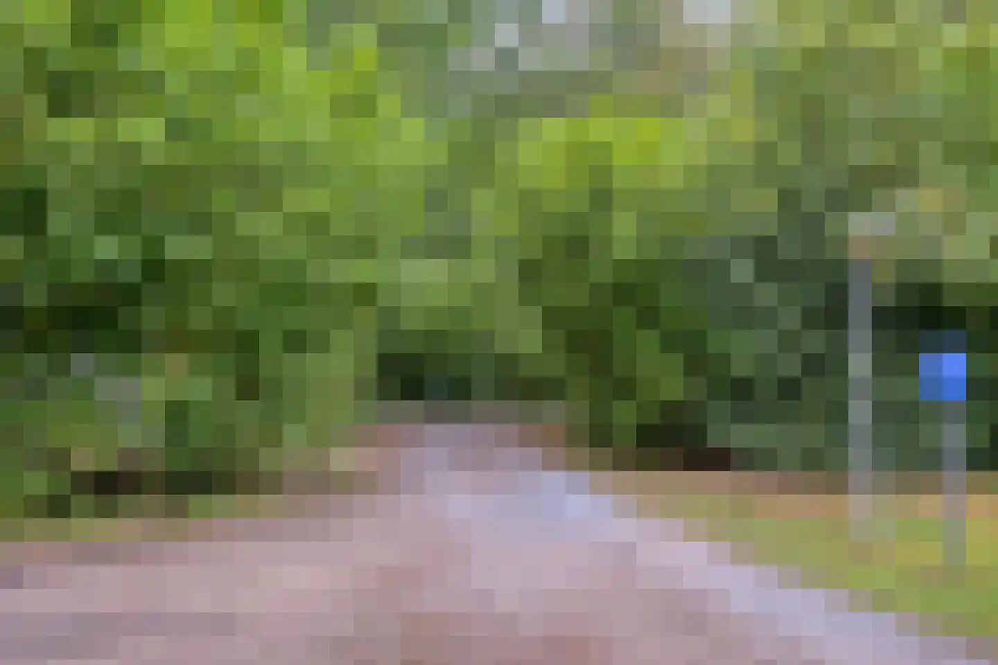 Buinerweg 8 130 Ees thumbnail 43