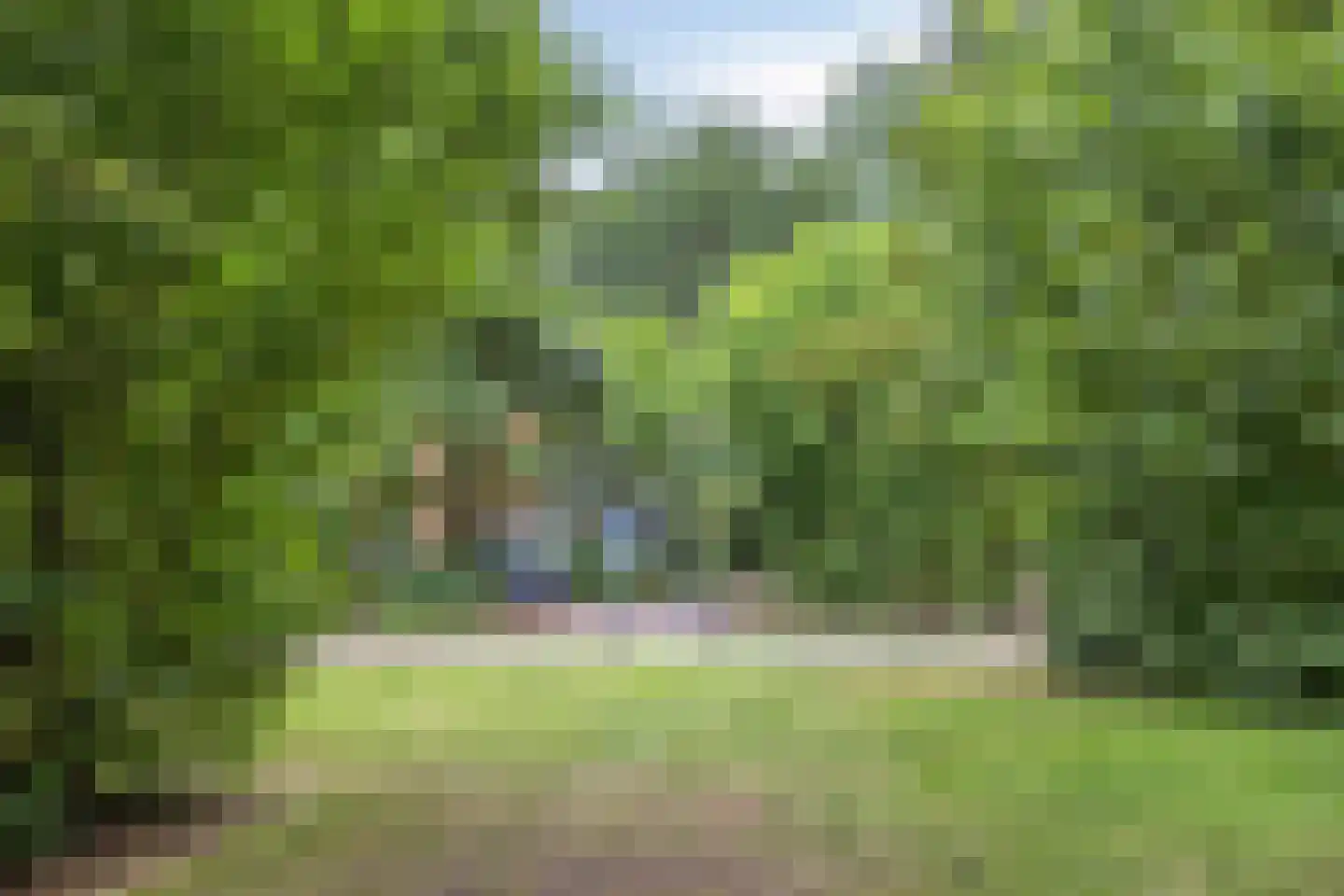 Buinerweg 8 130 Ees thumbnail 46