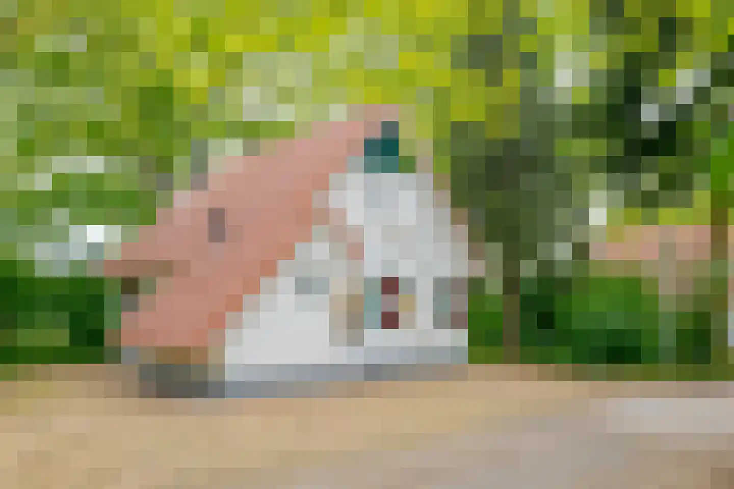 Buinerweg 8 138 Ees thumbnail 30