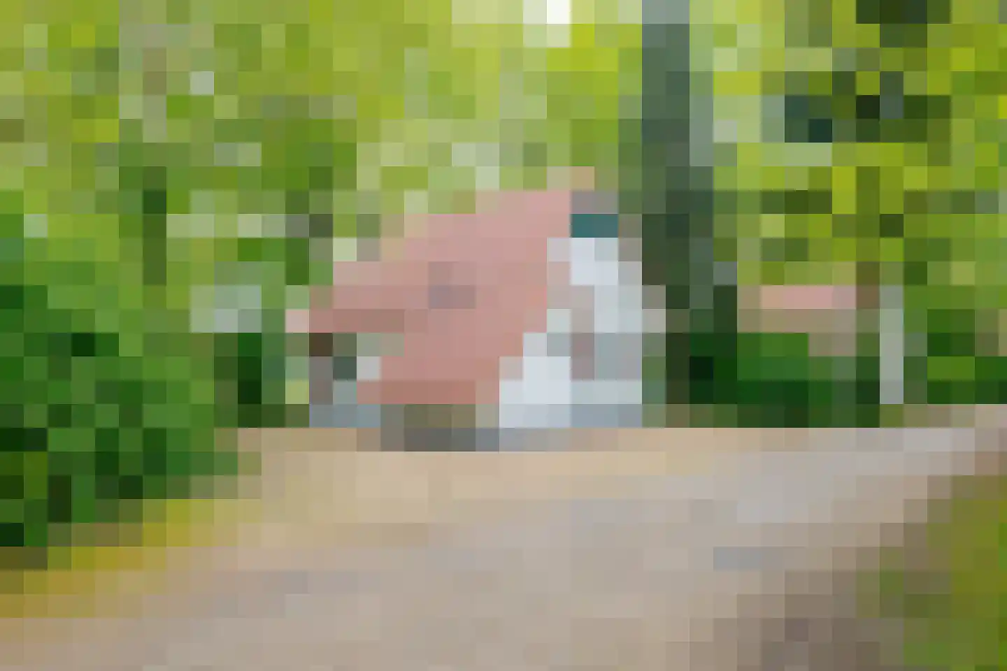 Buinerweg 8 138 Ees thumbnail 4
