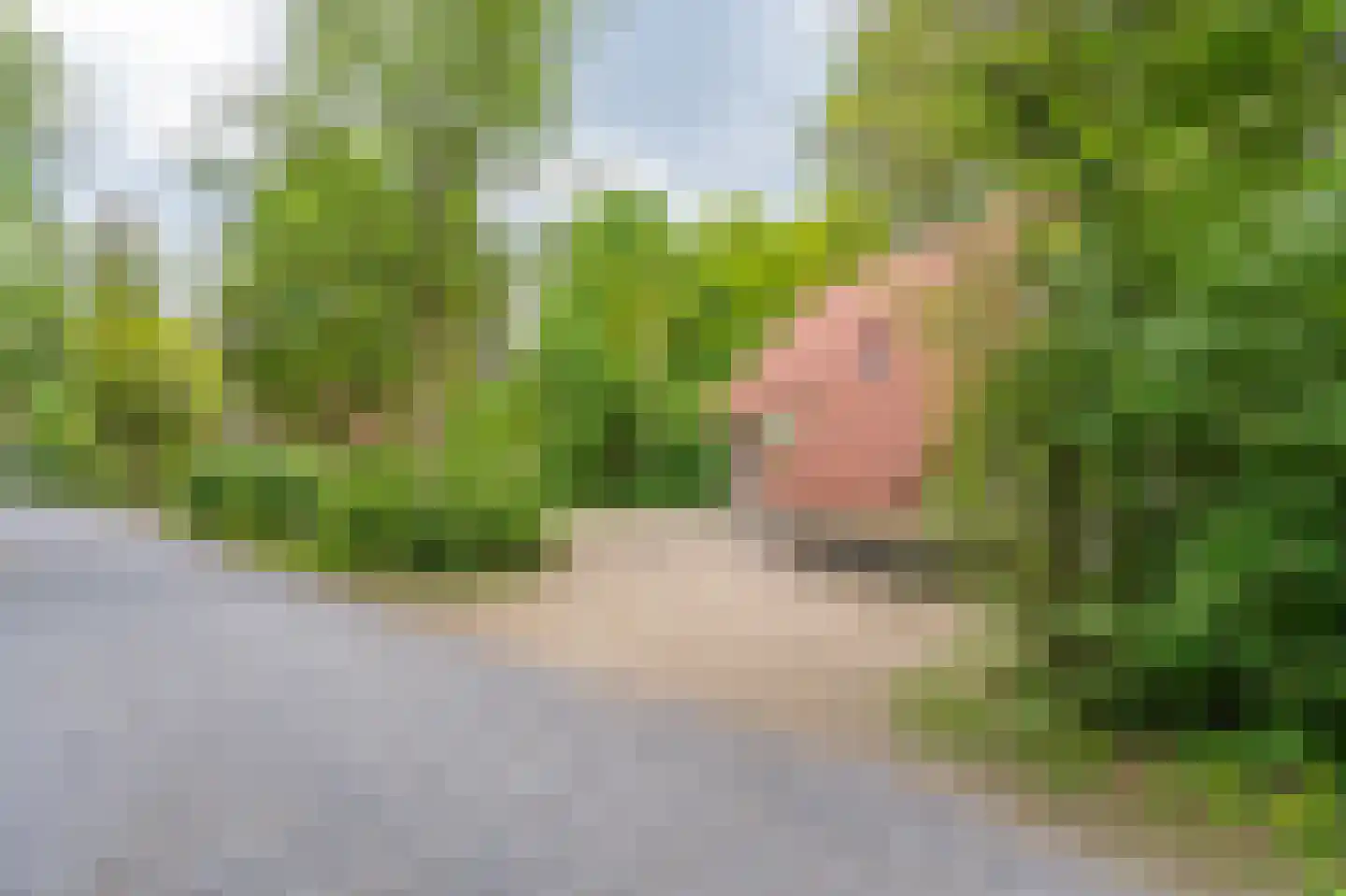 Buinerweg 8 151 Ees thumbnail 18