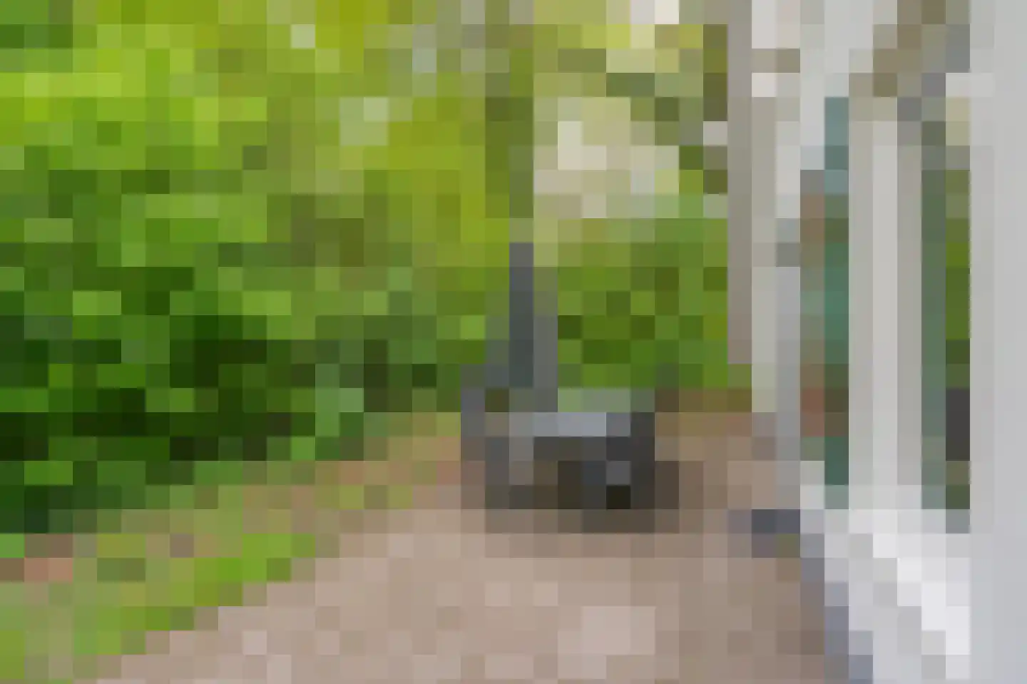 Buinerweg 8 151 Ees thumbnail 20