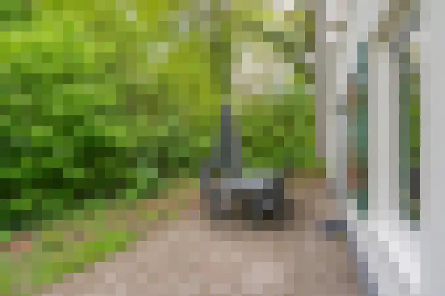 Buinerweg 8 151 Ees thumbnail 20