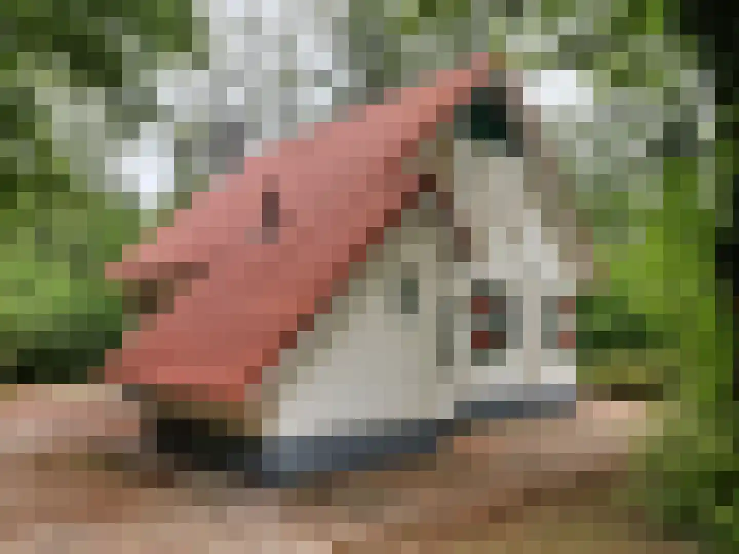 Buinerweg 8 155 in Ees