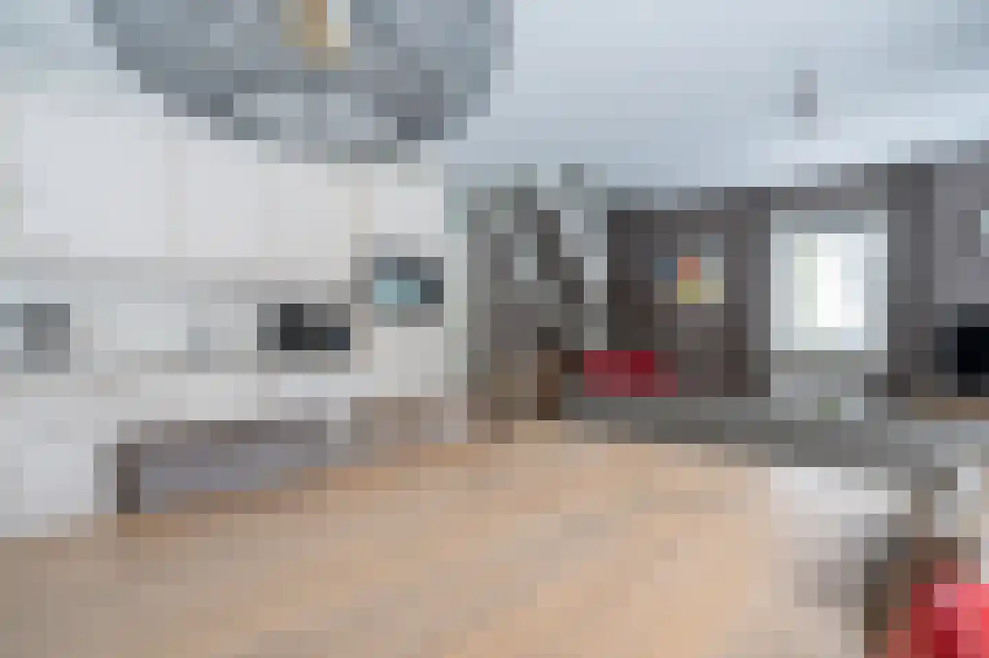 Buinerweg 8 155 Ees thumbnail 13