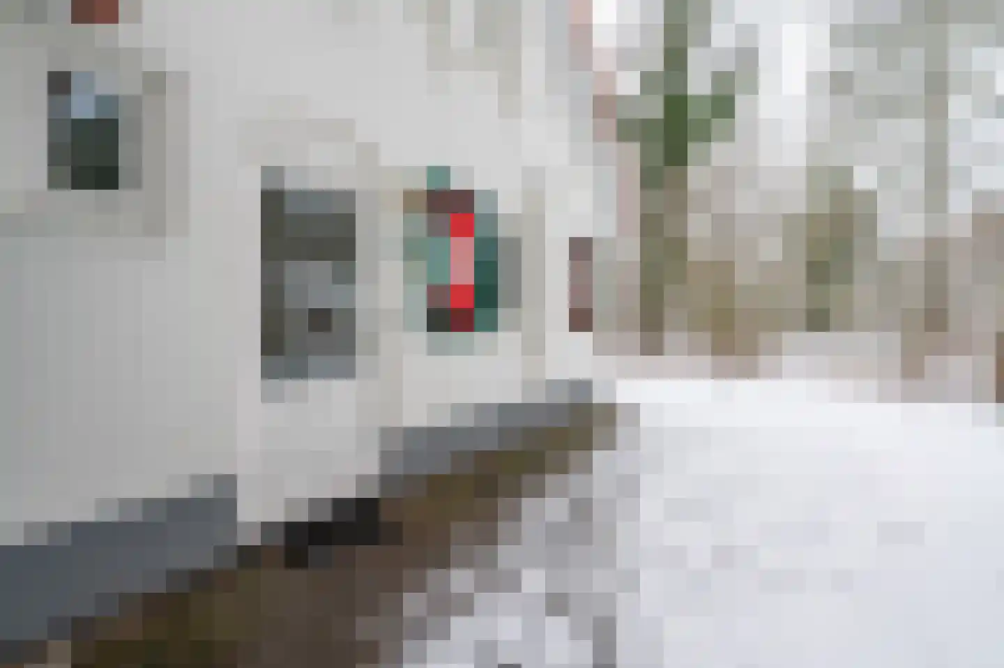 Buinerweg 8 155 Ees thumbnail 24