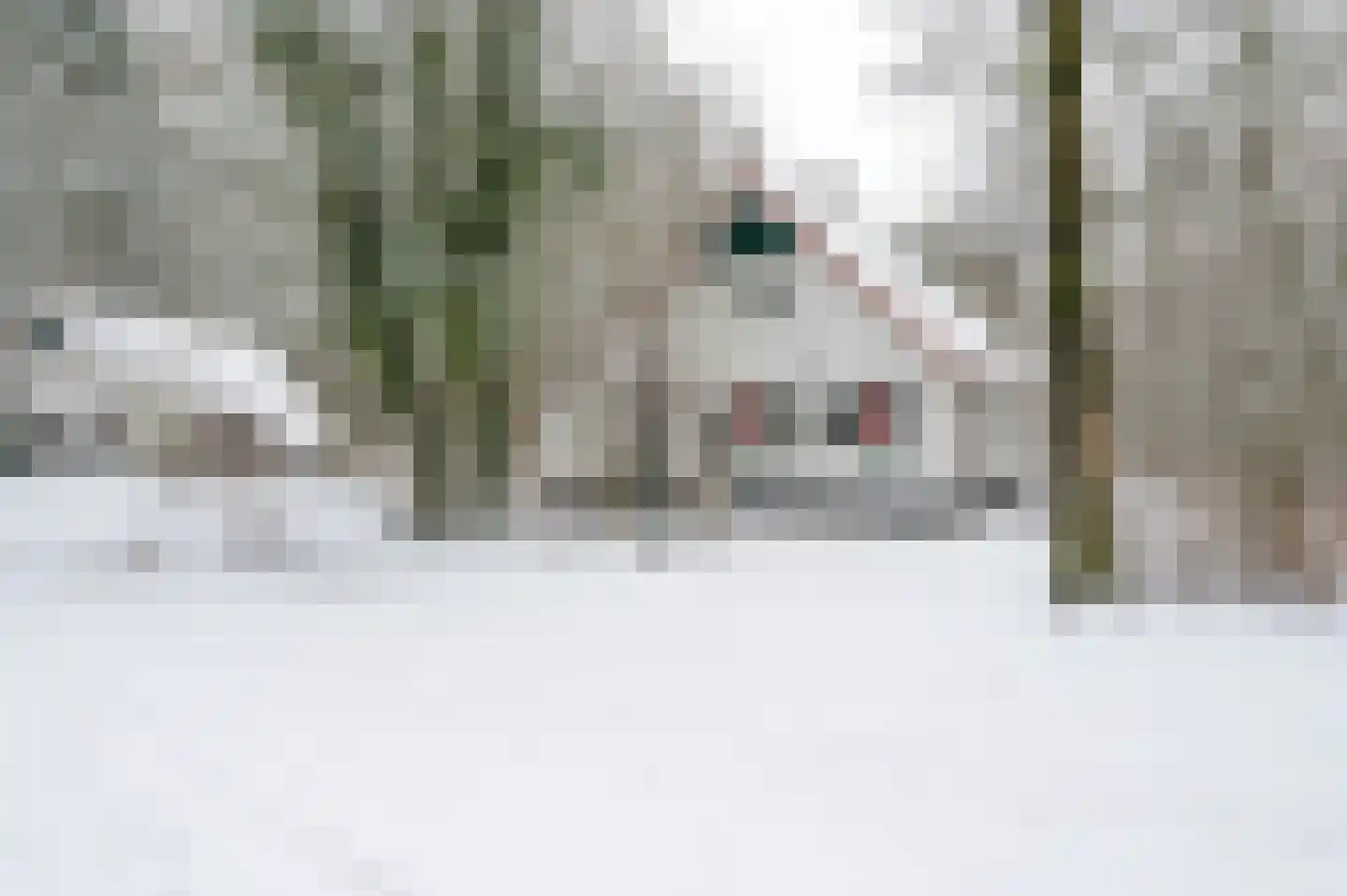 Buinerweg 8 155 Ees thumbnail 4