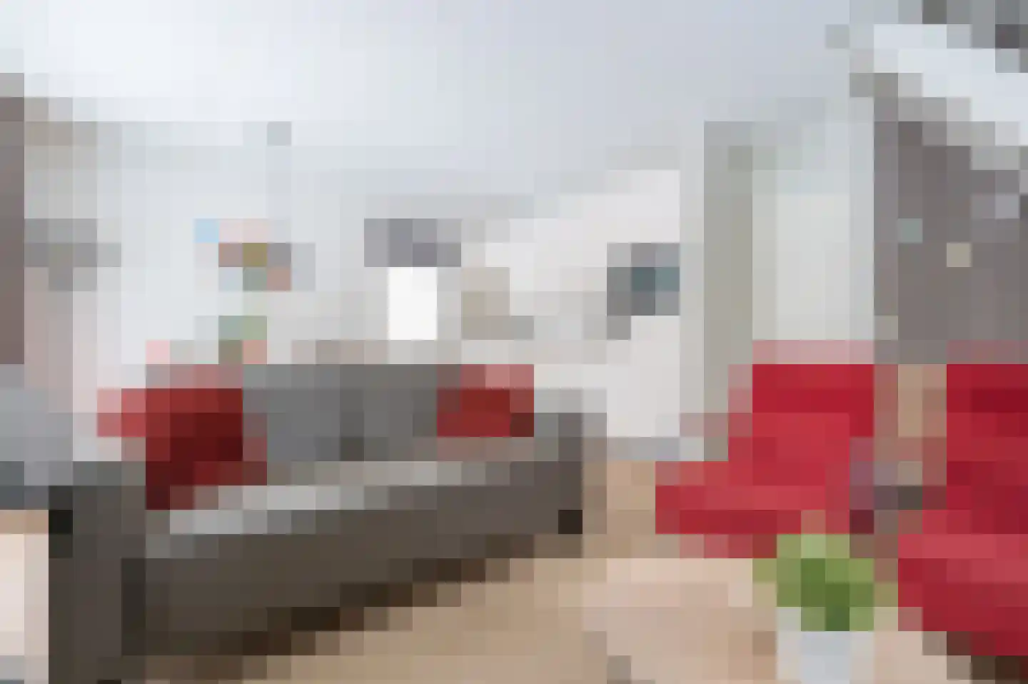 Buinerweg 8 155 Ees thumbnail 7