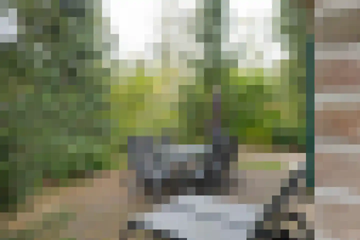 Buinerweg 8 214 Ees thumbnail 17