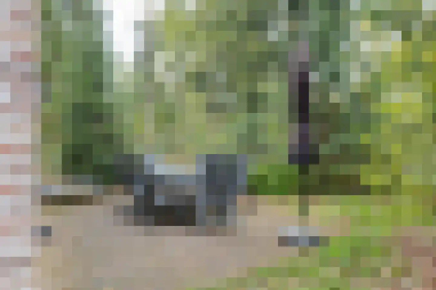 Buinerweg 8 214 Ees thumbnail 45