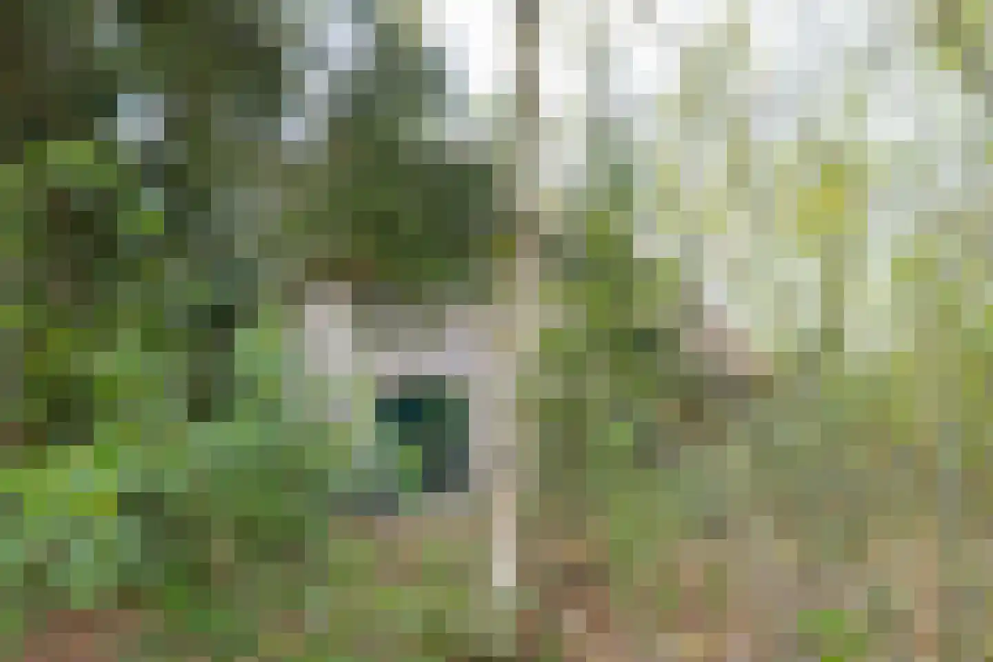 Buinerweg 8 214 Ees thumbnail 46