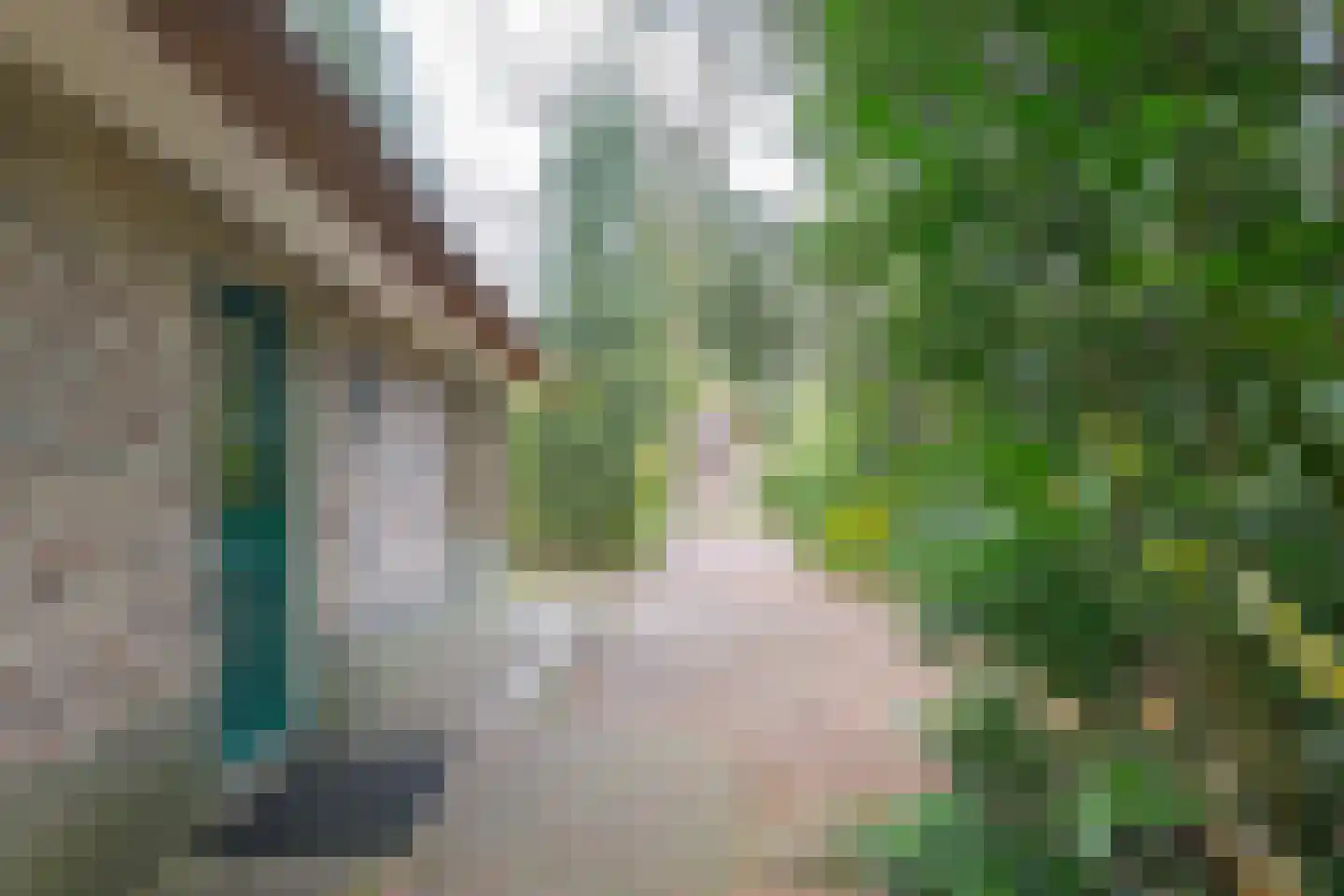 Buinerweg 8 214 Ees thumbnail 48