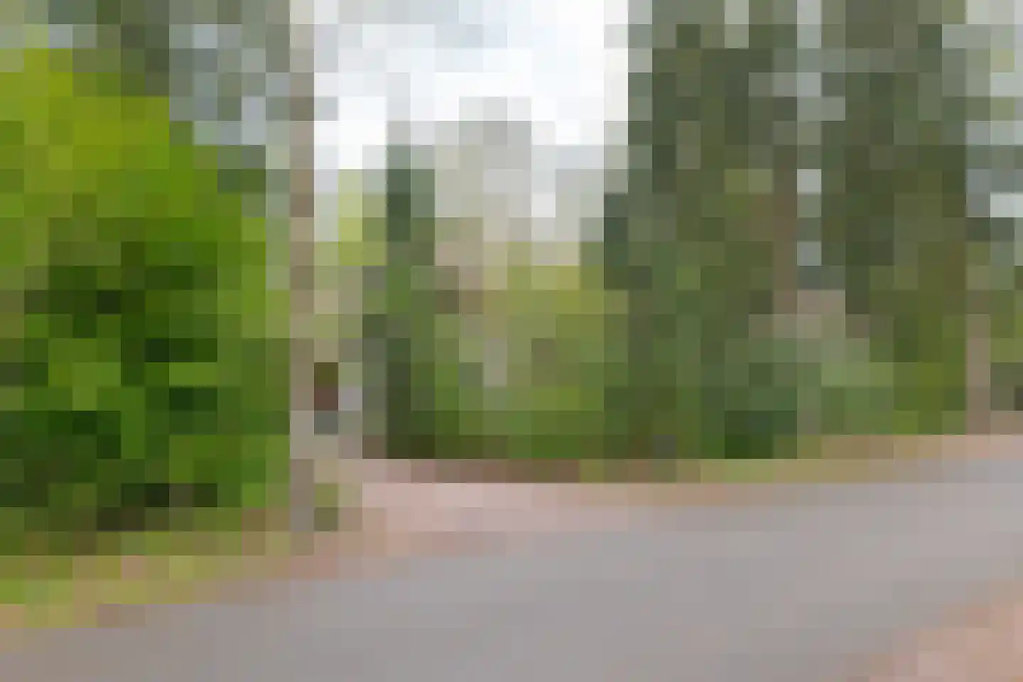 Buinerweg 8 214 Ees thumbnail 50