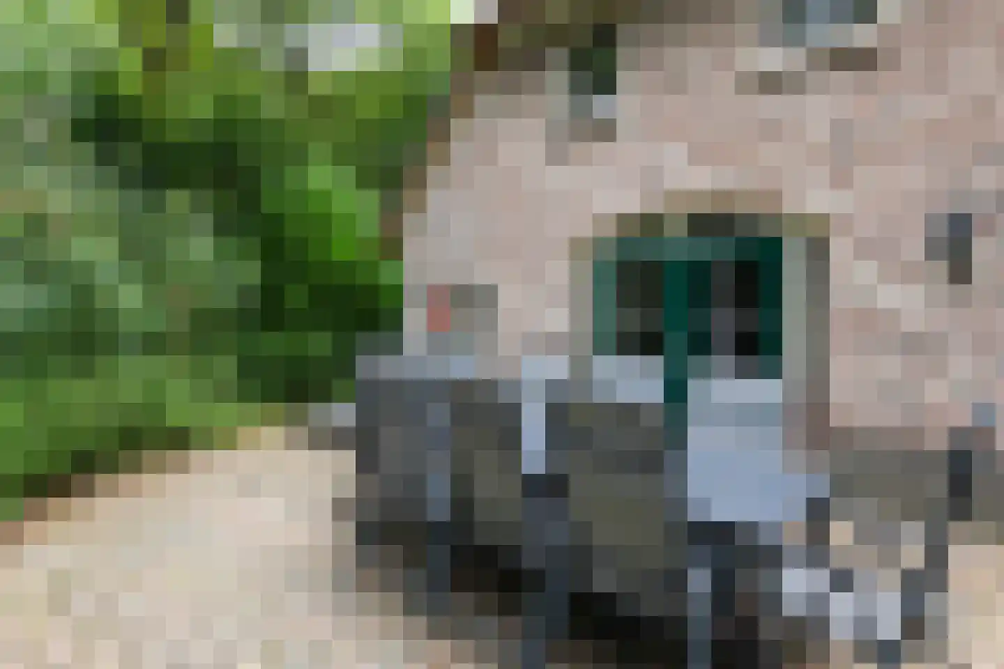 Buinerweg 8 232 Ees thumbnail 30