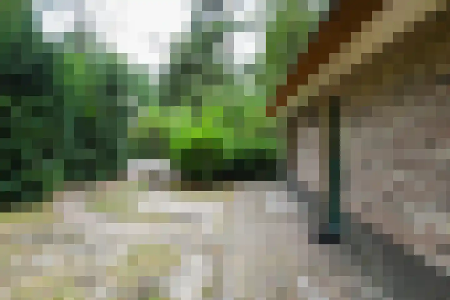 Buinerweg 8 232 Ees thumbnail 4