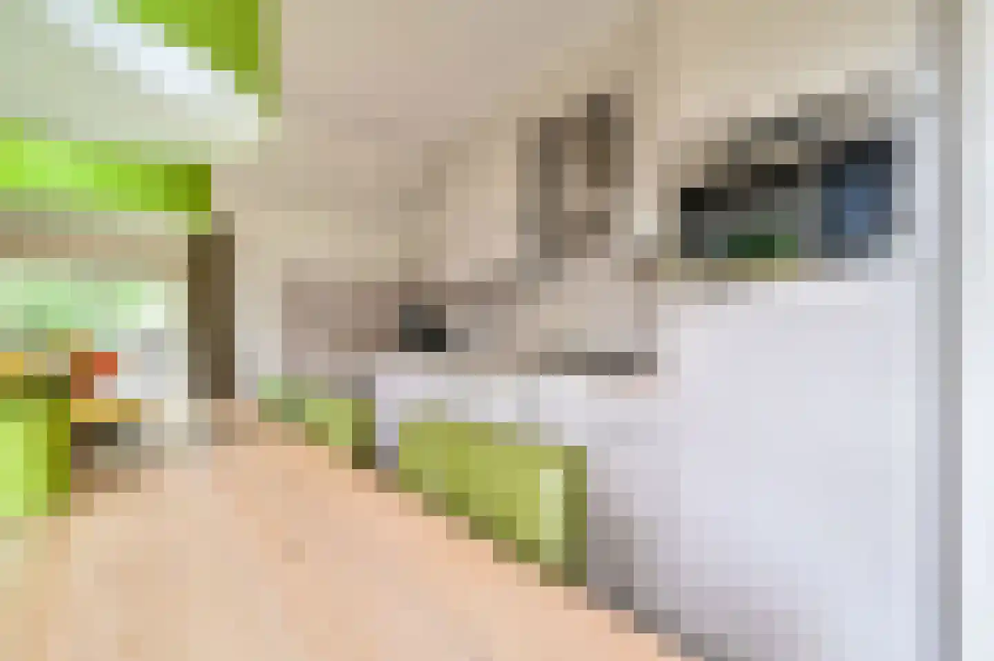 Buinerweg 8 242 Ees thumbnail 11