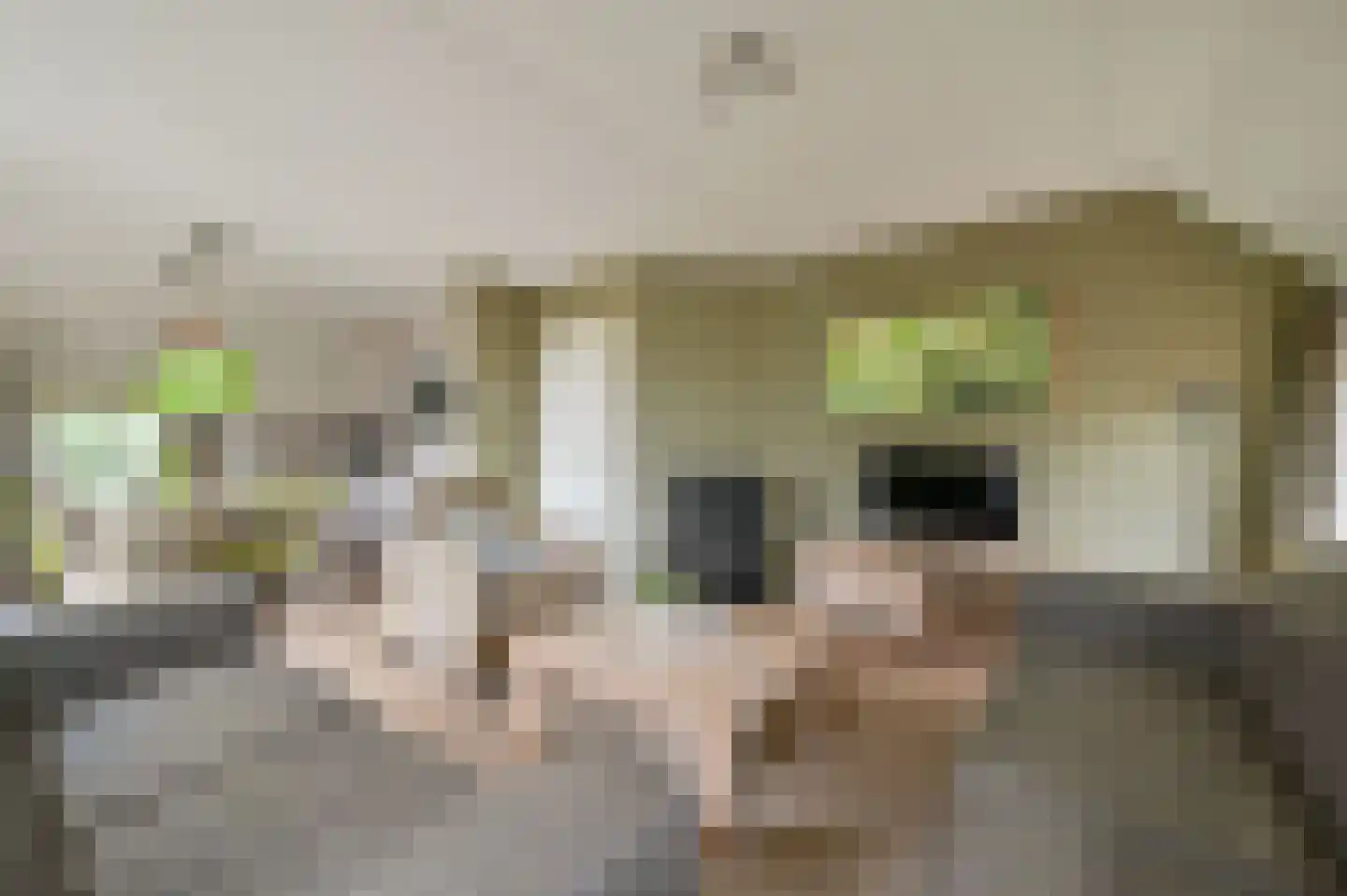 Buinerweg 8 242 Ees thumbnail 6