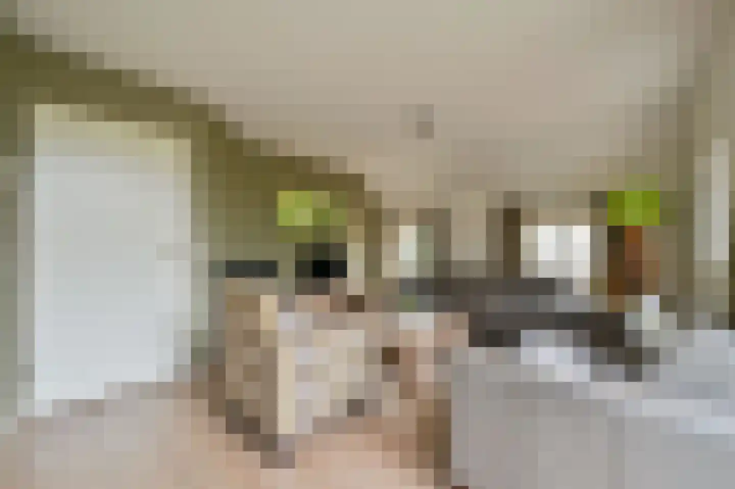 Buinerweg 8 242 Ees thumbnail 7