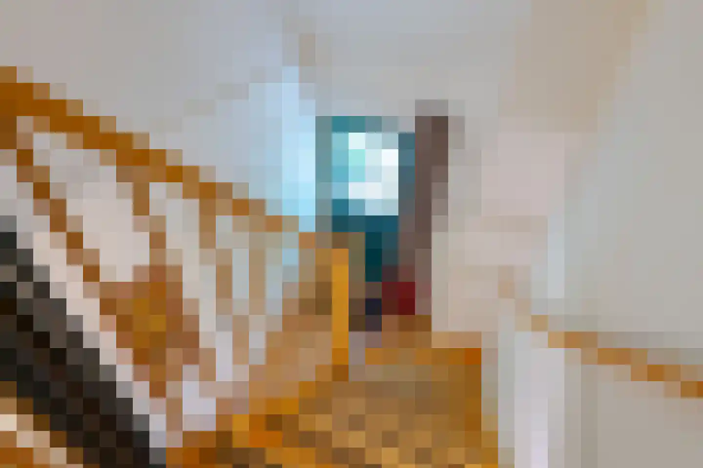 Buinerweg 8 253 Ees thumbnail 24