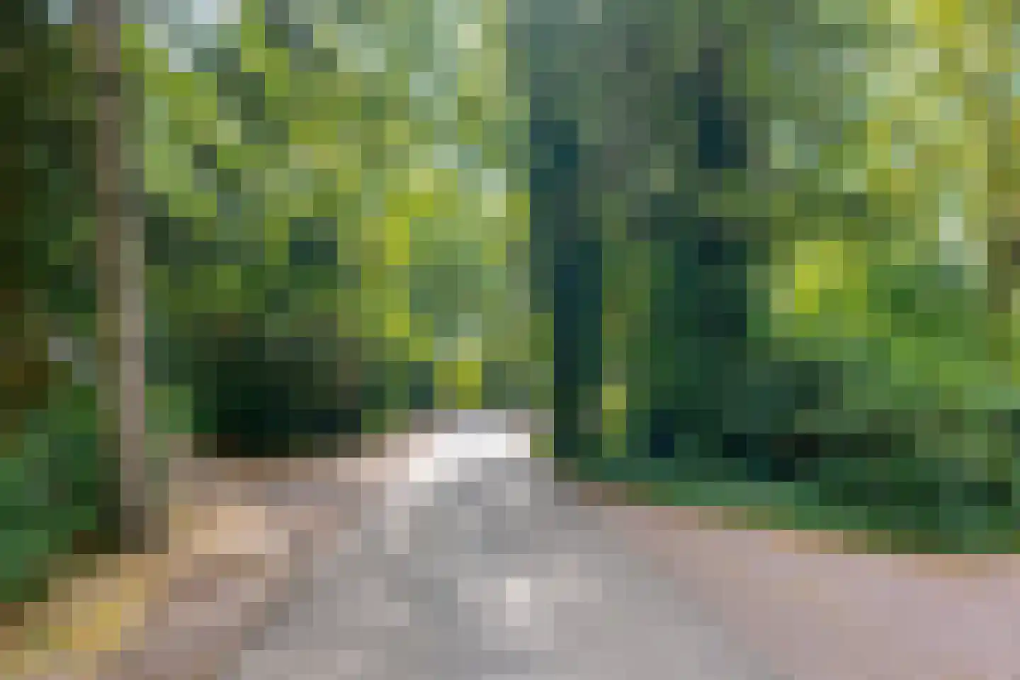 Buinerweg 8 253 Ees thumbnail 4