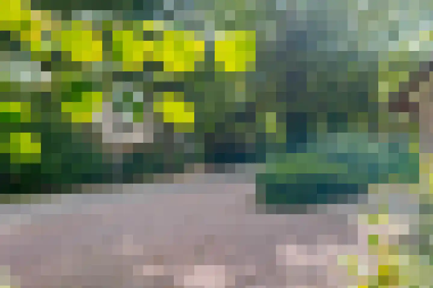 Buinerweg 8 253 Ees thumbnail 40