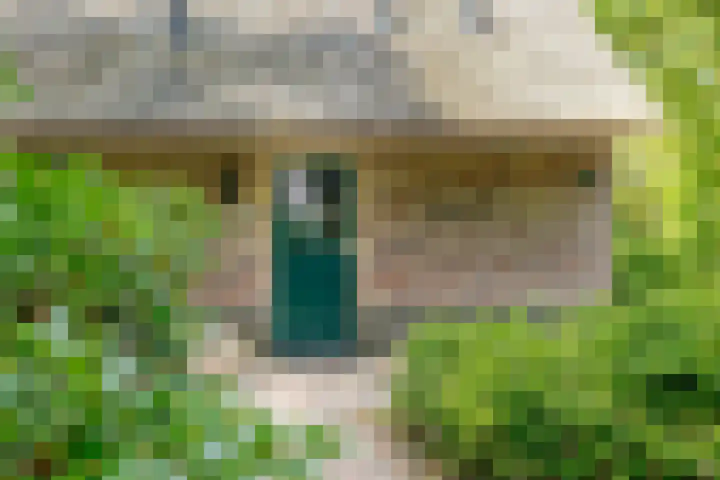 Buinerweg 8 253 Ees thumbnail 5