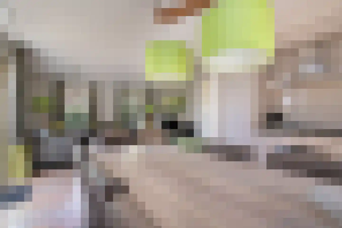 Buinerweg 8 265 Ees thumbnail 14