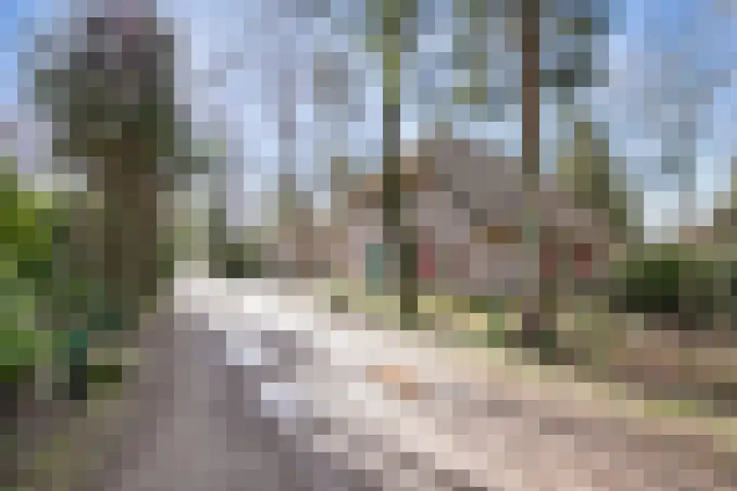 Buinerweg 8 265 Ees thumbnail 27