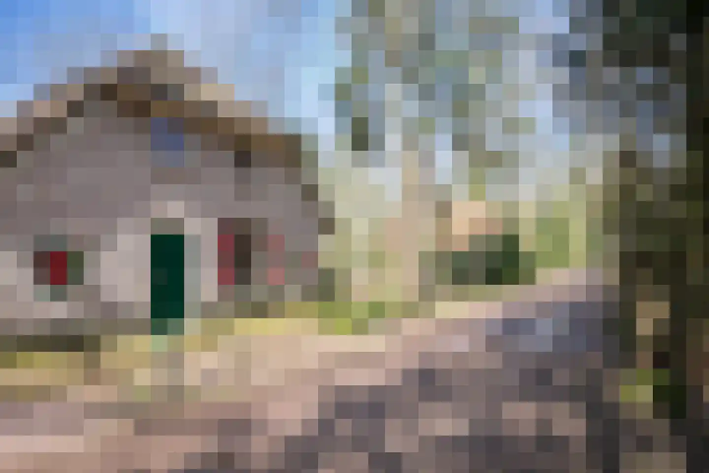 Buinerweg 8 265 Ees thumbnail 28