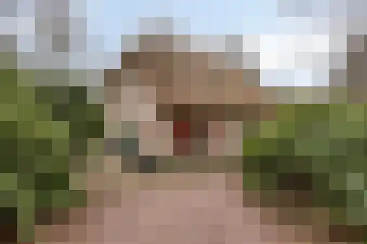 Buinerweg 8 285 in Ees