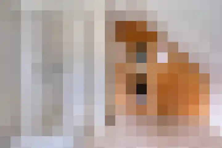 Buinerweg 8 285 Ees thumbnail 32