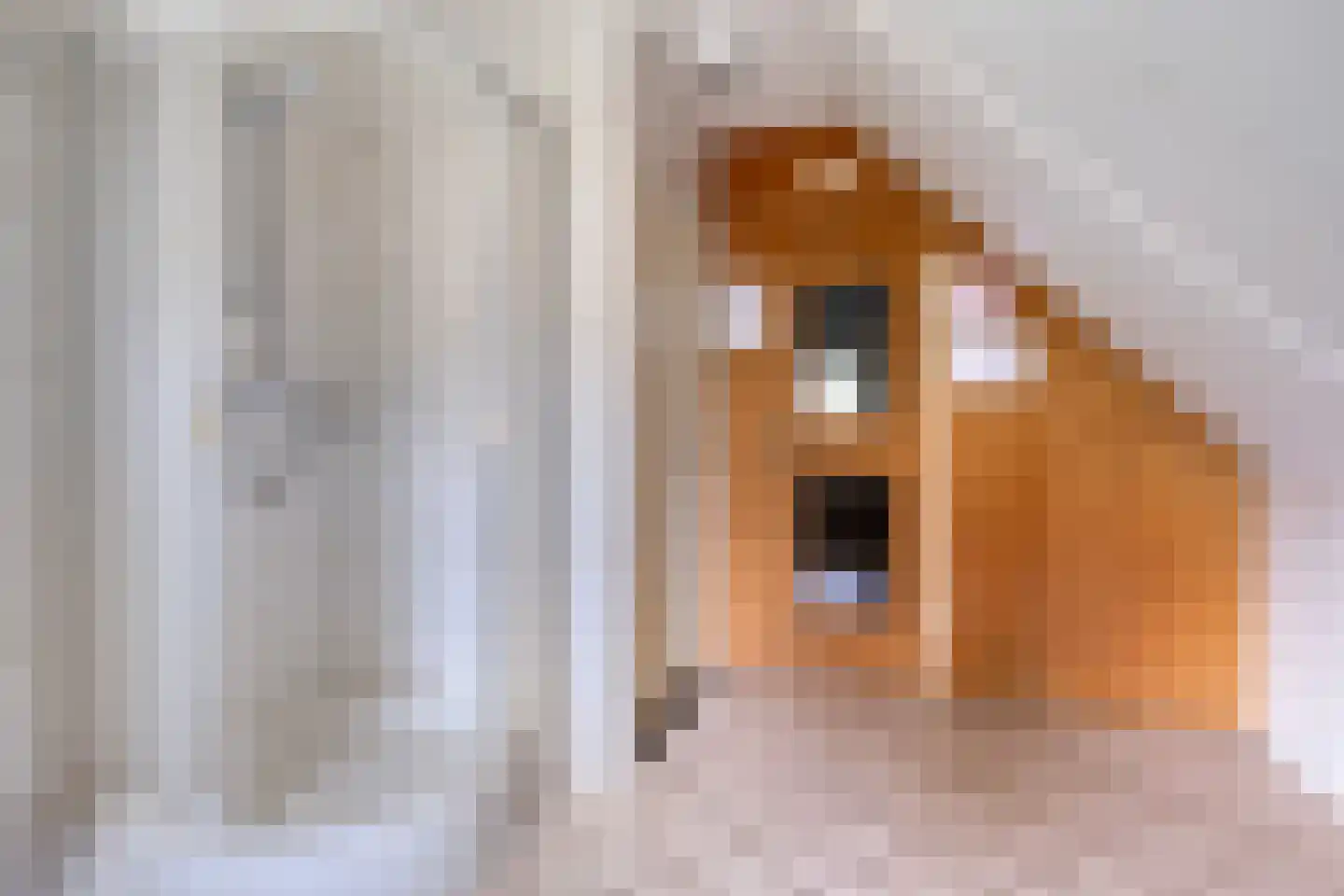 Buinerweg 8 285 Ees thumbnail 32