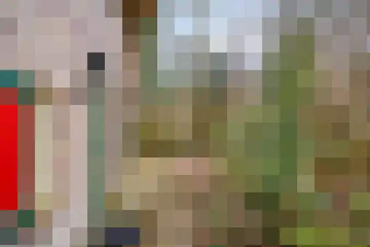 Buinerweg 8 285 Ees thumbnail 38