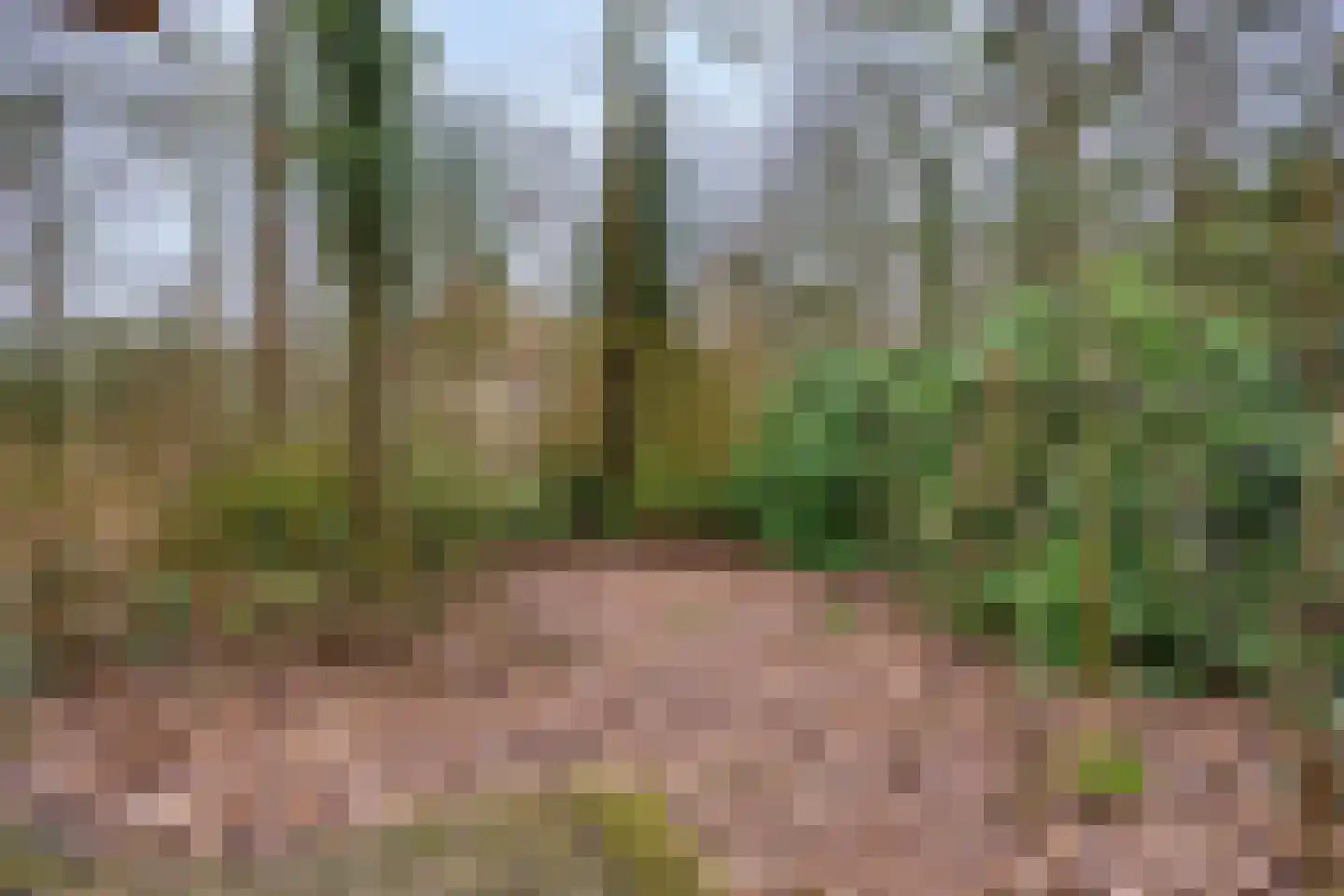 Buinerweg 8 285 Ees thumbnail 39