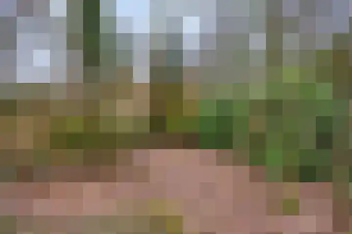 Buinerweg 8 285 Ees thumbnail 39