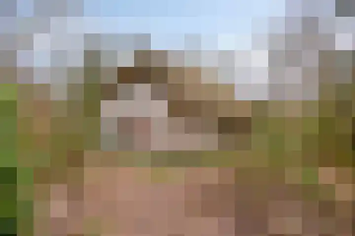 Buinerweg 8 285 Ees thumbnail 40