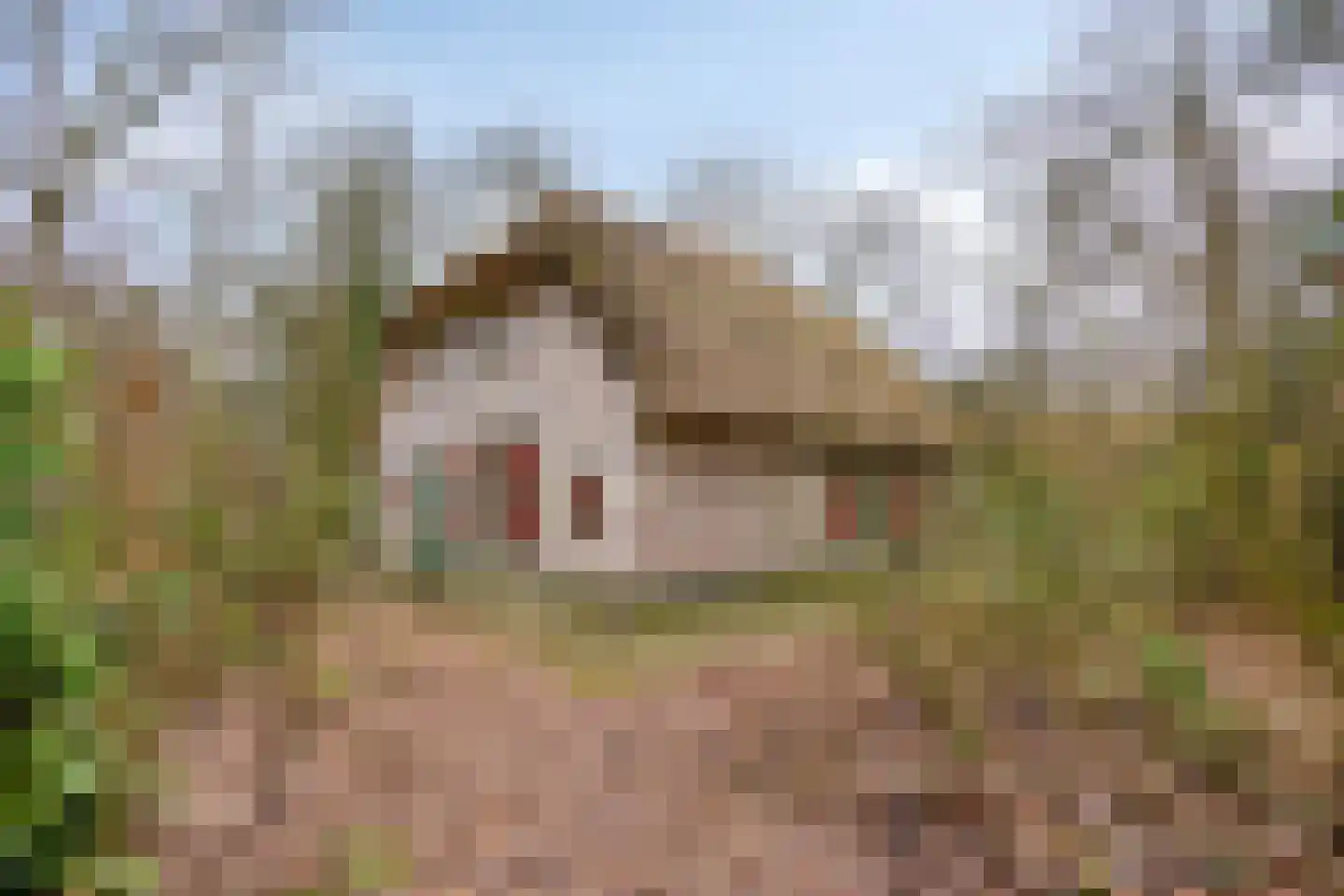 Buinerweg 8 285 Ees thumbnail 40