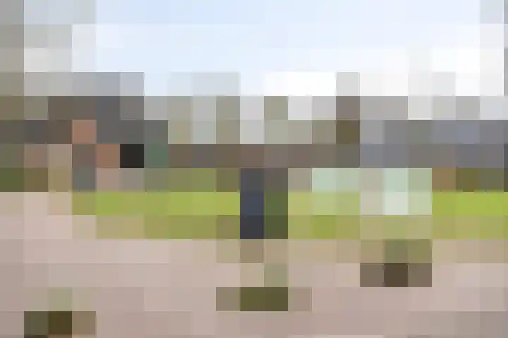 Buinerweg 8 285 Ees thumbnail 46