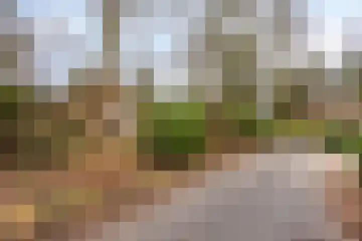 Buinerweg 8 285 Ees thumbnail 5