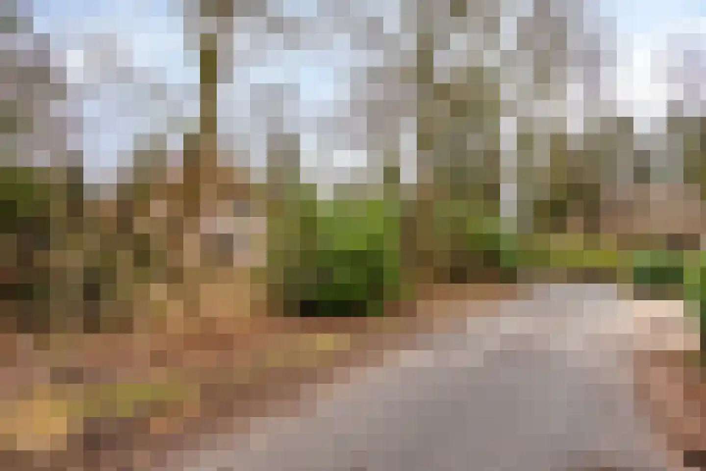 Buinerweg 8 285 Ees thumbnail 5